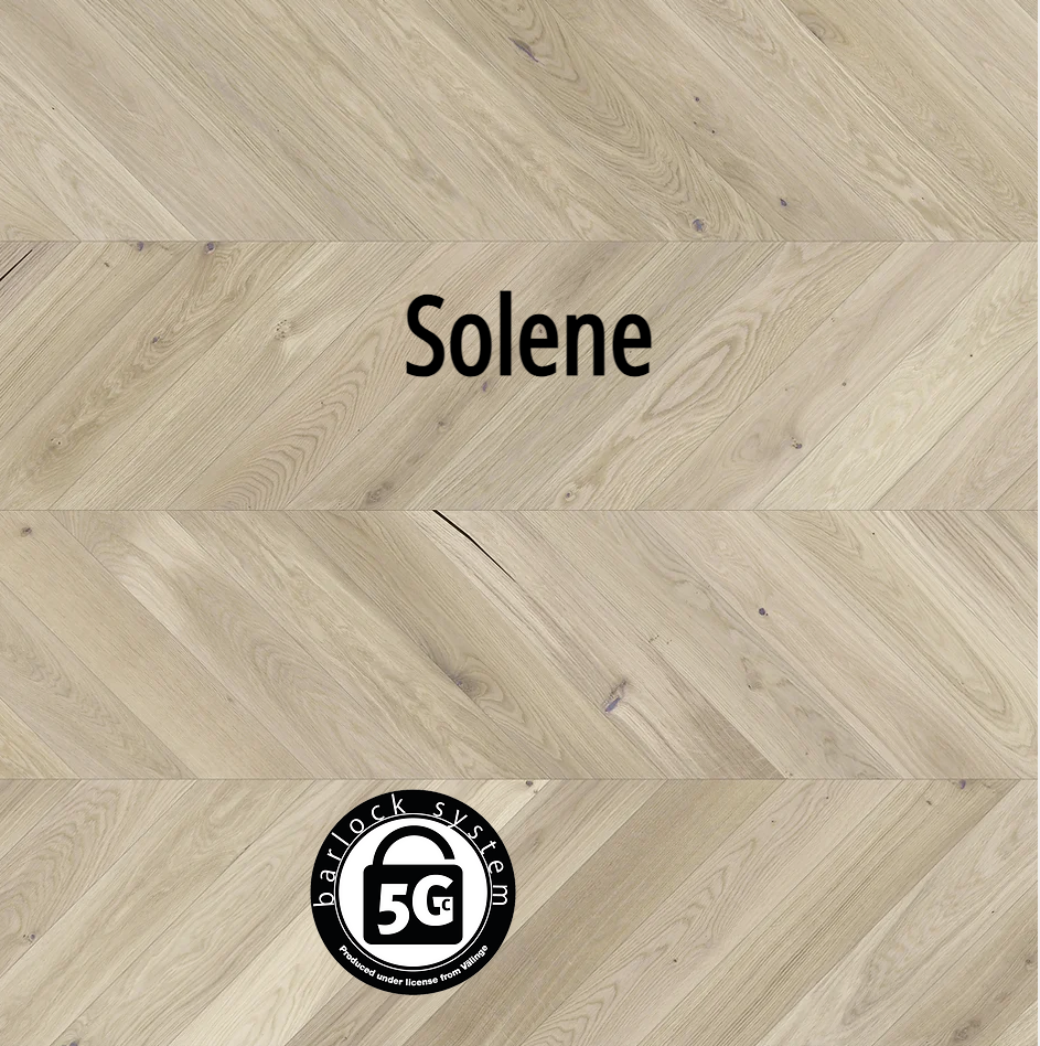 Solene